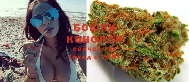 Конопля THC 21%  где найти наркотики  Жуковка 